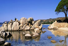 金州勇士迎欧篮联关键赛，今夜内部沟通，震撼外界，数据趋势出现新变化的简单介绍